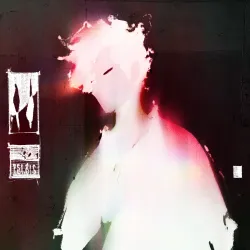 313