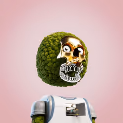 Ace #5276