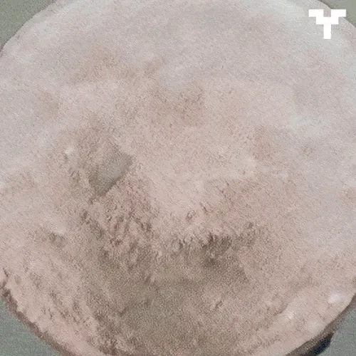 Y
