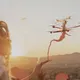 THE DRONES OF SUBURBIA (HOLLYWOOD)