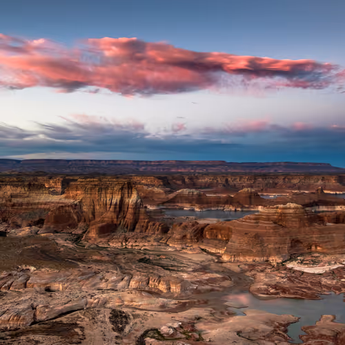 Nature S Cotton Candy By Steve Bennett