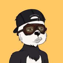 Okay Panda #2499