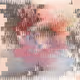 81