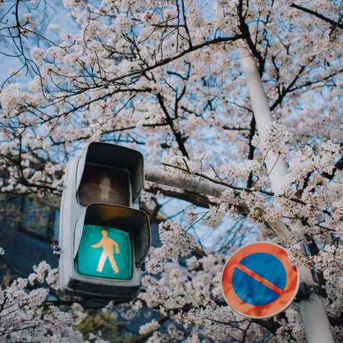 Fragments Of Life By Yk