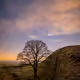 SYCAMORE GAP ORIONS BELT