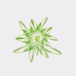 200