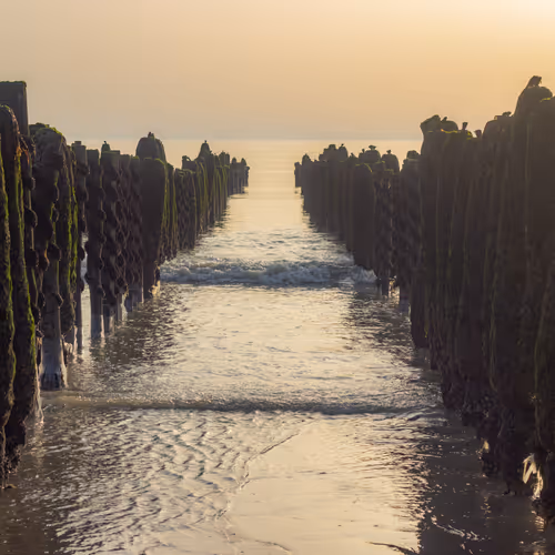 photographer - w7LdGDNv44