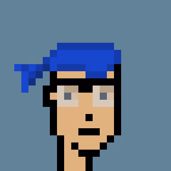CryptoPunks #1895