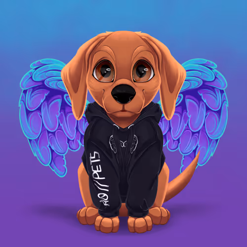 Pets Oasis 1