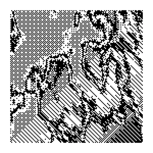 Item #3142825854 Media