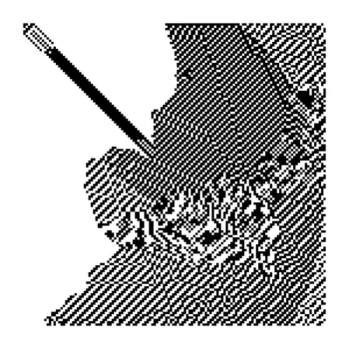 Item #2343551391 Media