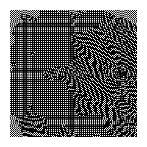 Item #357707491 Media