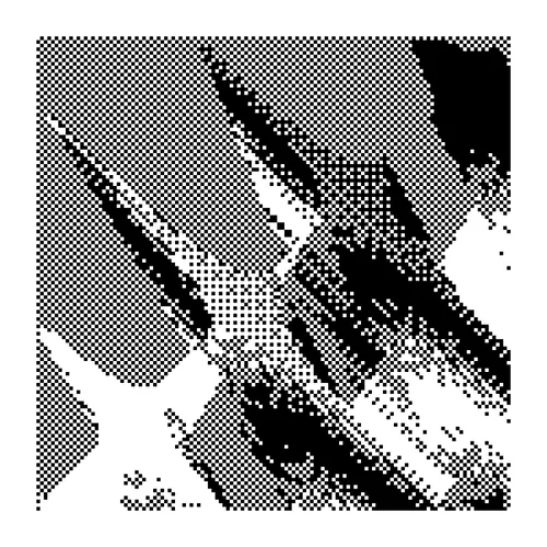 Item #1556431498 Media