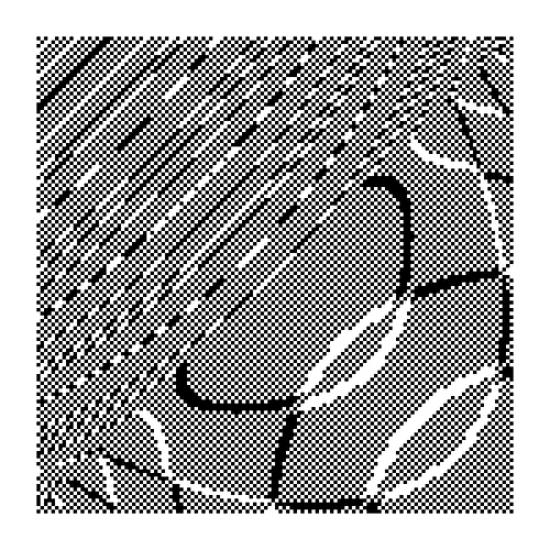 Item #799281838 Media