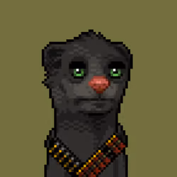 MONG #5144