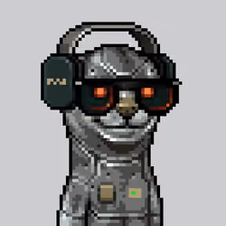MONG #3343