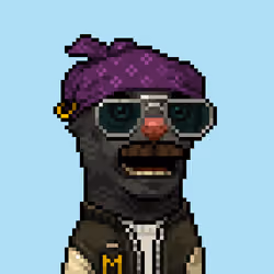 MONG #382