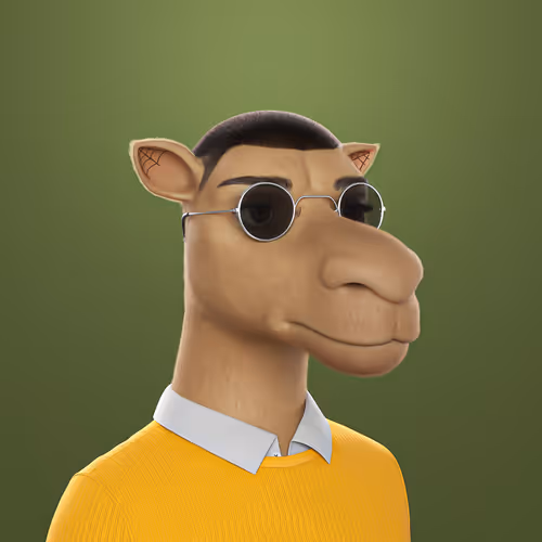 3dcamels