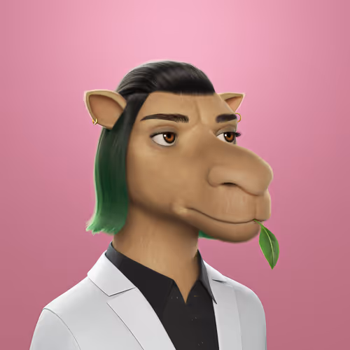 3dcamels