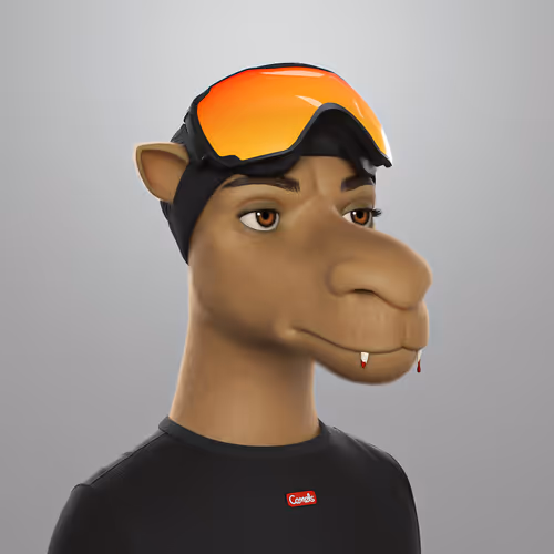 3dcamels