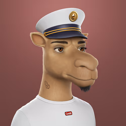 3dcamels