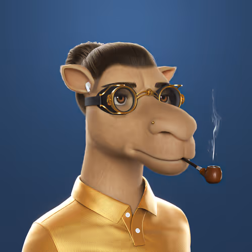3dcamels