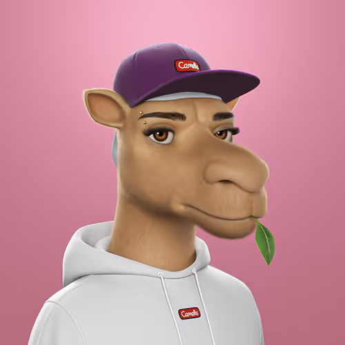 3dcamels