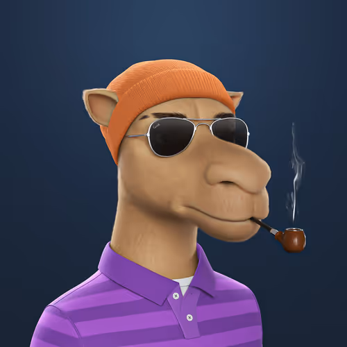 3dcamels
