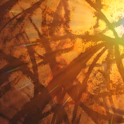 Sunlight