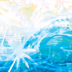 pōmaika‘i