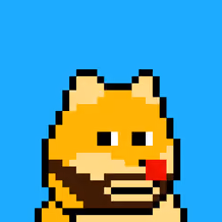 Dooggie #1416