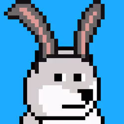 Dooggie #5789