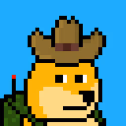 Dooggie #1764