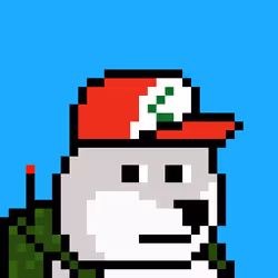 Dooggie #7589