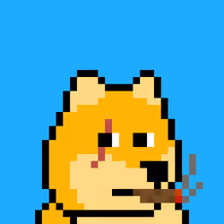Dooggie #6267