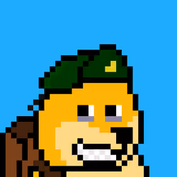 105106996878630511210248856593636848502986555109151911559735829885577875947521