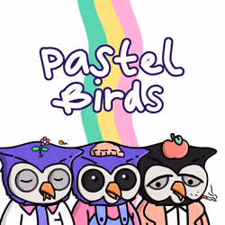 PASTEL BIRDS CLUB