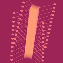 Digitspores #214