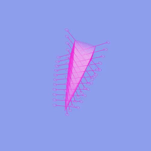 Digitspores #324
