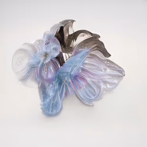 Item #101262 Media