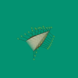 Digitspores #758