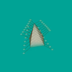 Digitspores #659
