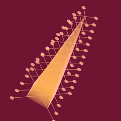 Digitspores #342