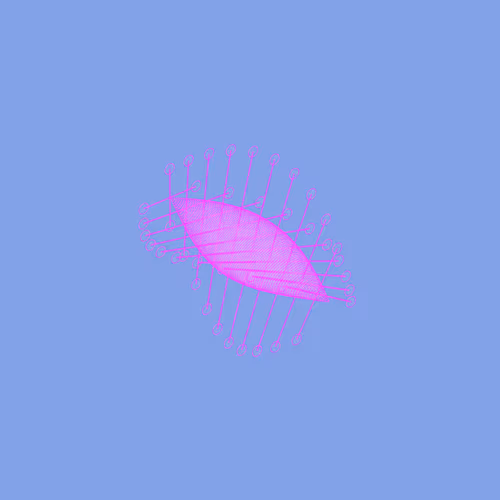Digitspores #806