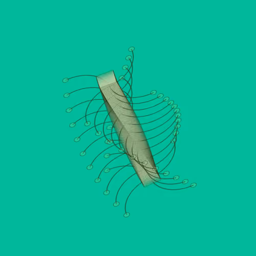 Digitspores #80