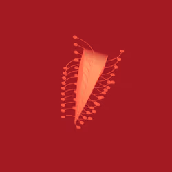 Digitspores #1039