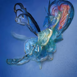 Bestiary from a Distant World #639