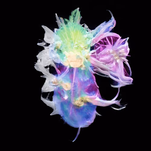 Bestiary from a Distant World #494