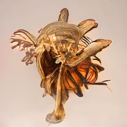 Bestiary from a Distant World #6