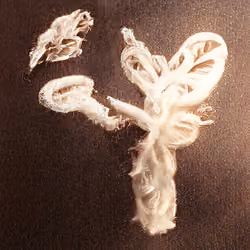 Bestiary from a Distant World #1411